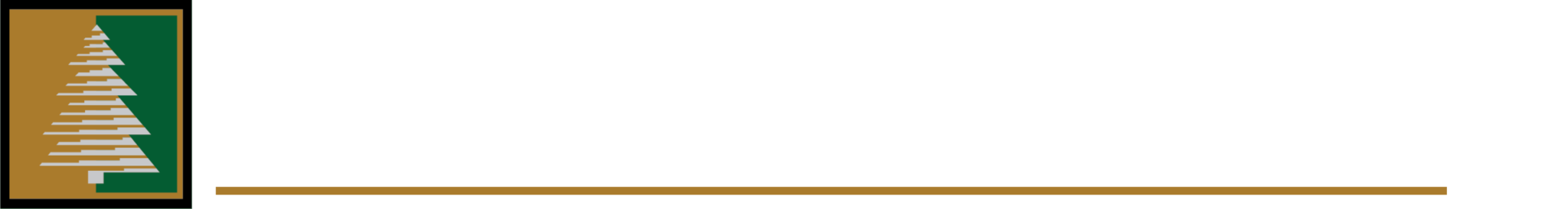 SCFinancialGroup Logo